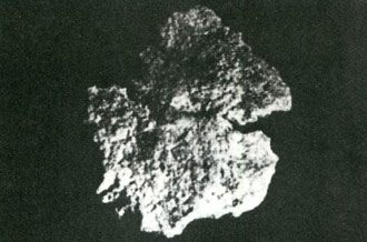 overgebleven gedeelte van de schedel van Petrus (foto, opgravingen, 1980)