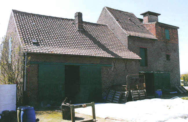 Driedelige cichorei-ast bij de hoeve Desmedt, Knaagreepstraat 1 (Foto: Ludo Hameeuw).