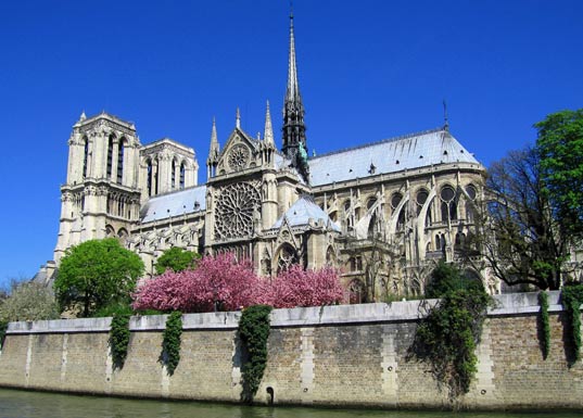 de gotische kathedraal Notre-Dame-de-Paris op het Seine-eiland