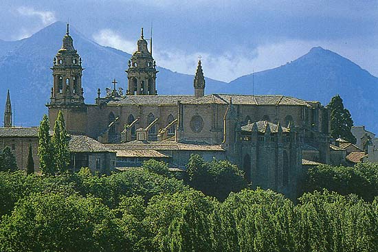 zijzicht van de gotische basiliek Santa María la Real in Pamplona
