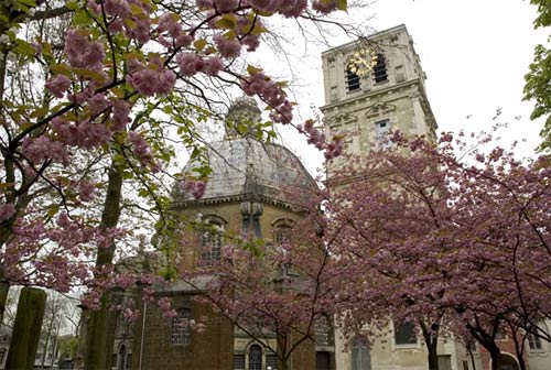 De O.L.Vrouwbasiliek van Scherpenheuvel