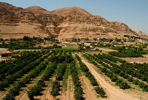 palmbomen in Jericho, de '<i>tuin van Abraham</i>'