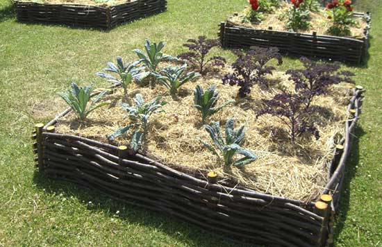 Typische met hout afgebakende plantenperken in een kloostertuin.