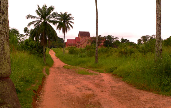 de kathedraal van Basankusu