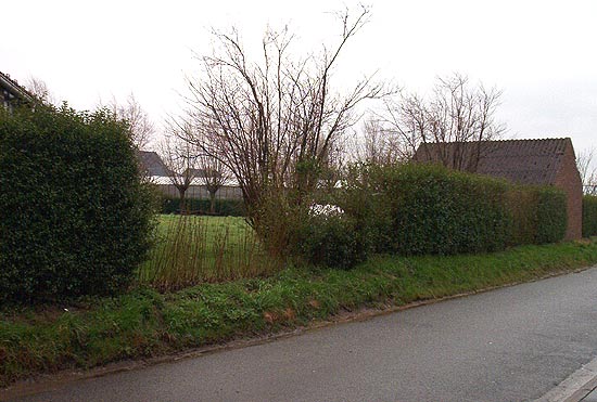 de verdwenen Waterdam-school stond op de plaats van de kleine loods met aanpalende weide